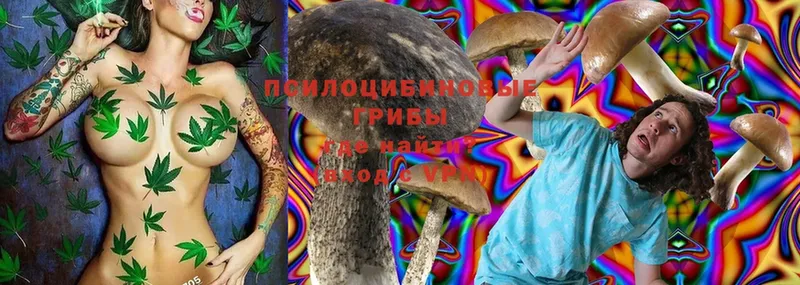 Псилоцибиновые грибы MAGIC MUSHROOMS  как найти закладки  Бирск 